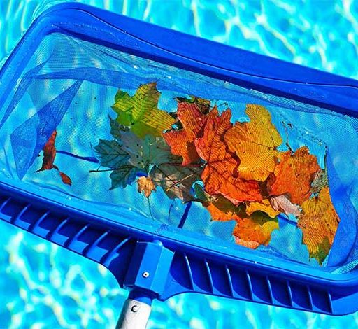 Jardineria Casanova Vinaros hojas en piscina